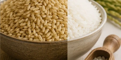 برنج دودی و غیردودی چه تفاوتی دارند؟