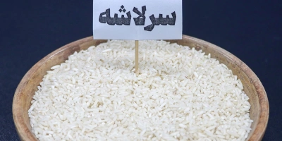 برنج اقتصادی و خوش‌پخت برای مصرف روزانه کدام است؟