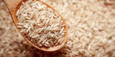 برنج دودی سرطان‌زا و خطرناک است؟