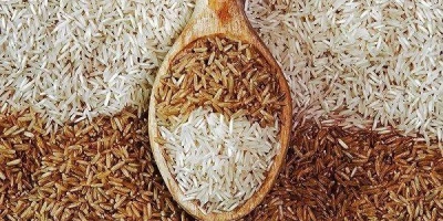 مصرف برنج برای افراد مبتلا به دیابت مضر است؟